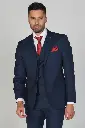 Tenesy Mens Navy 2pc Suit